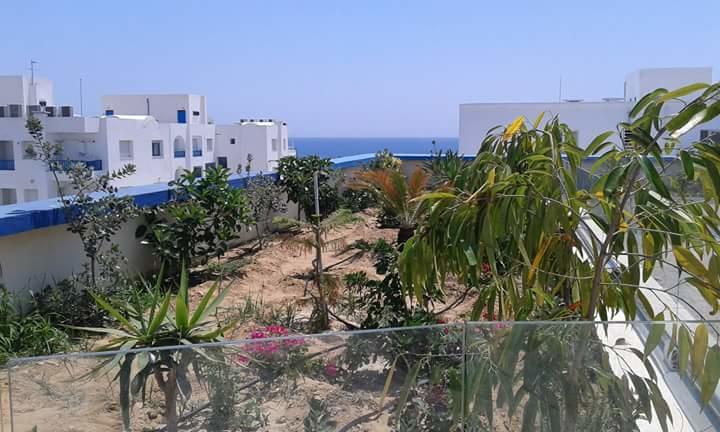 Le Lagon De Hammamet Værelse billede