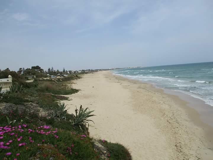 Le Lagon De Hammamet Eksteriør billede